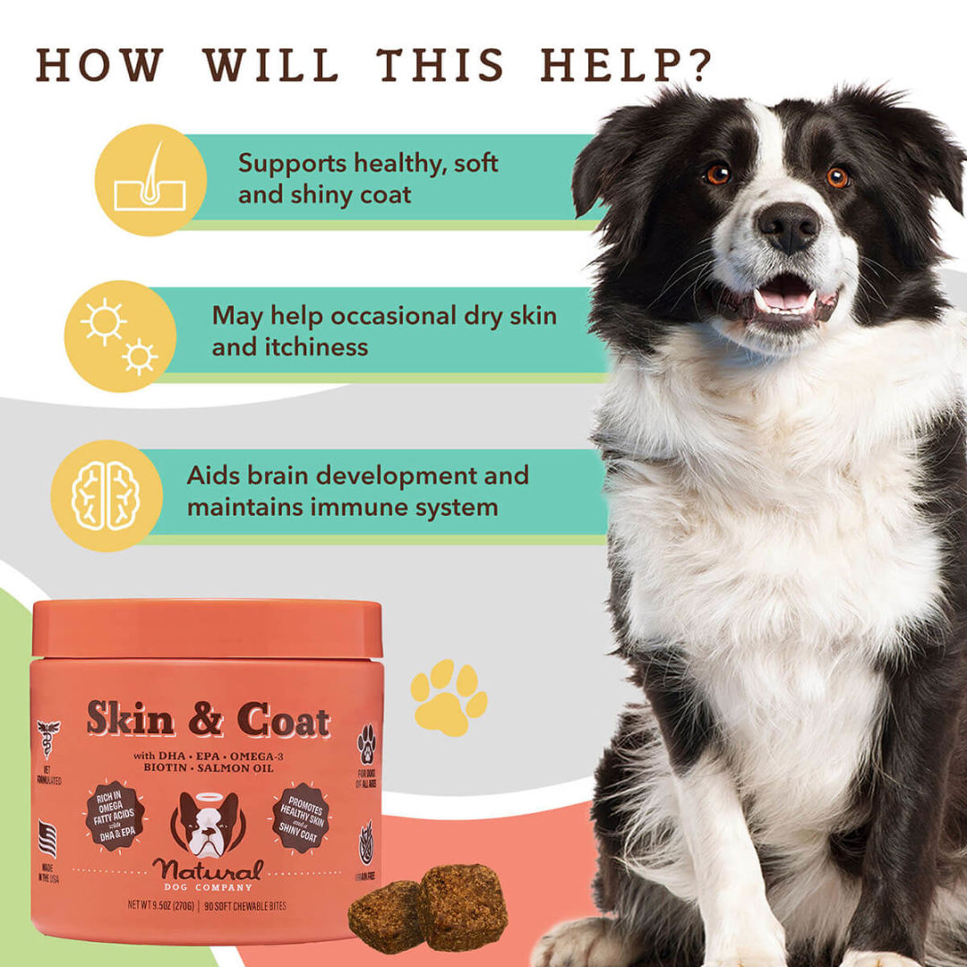 Dog supplement for skin and coat health with benefits and product image.