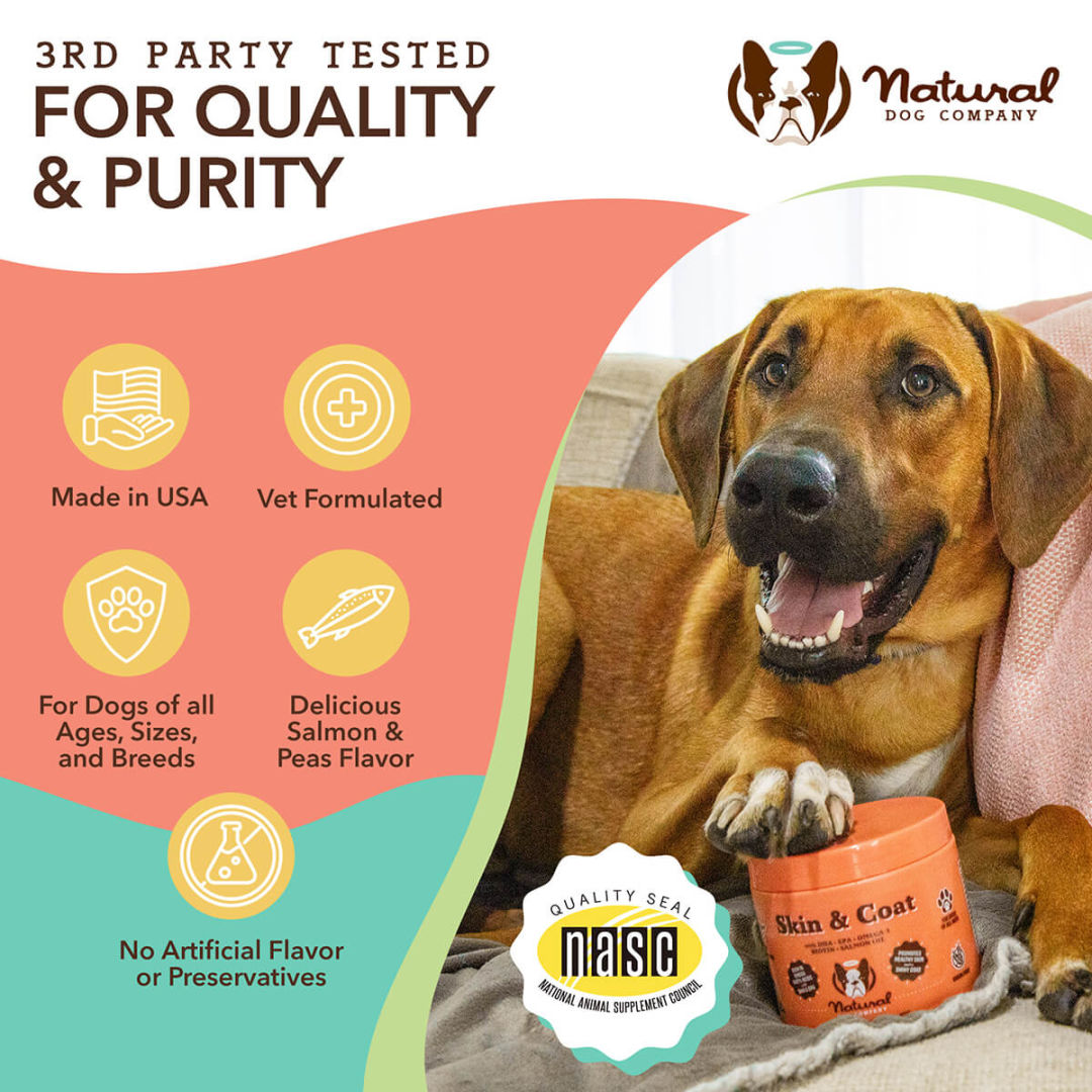 Dog with Natural Dog Company supplement promoting quality and purity.