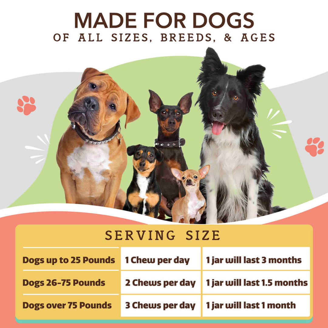 Dogs of various breeds with a serving size guide for dog chews.