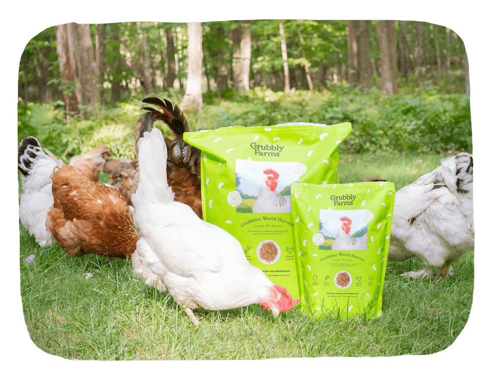 Grubblies World Harvest |variants: 39563305451562, 39563305517098, 39563305648170, 39563305713706, 39563305779242