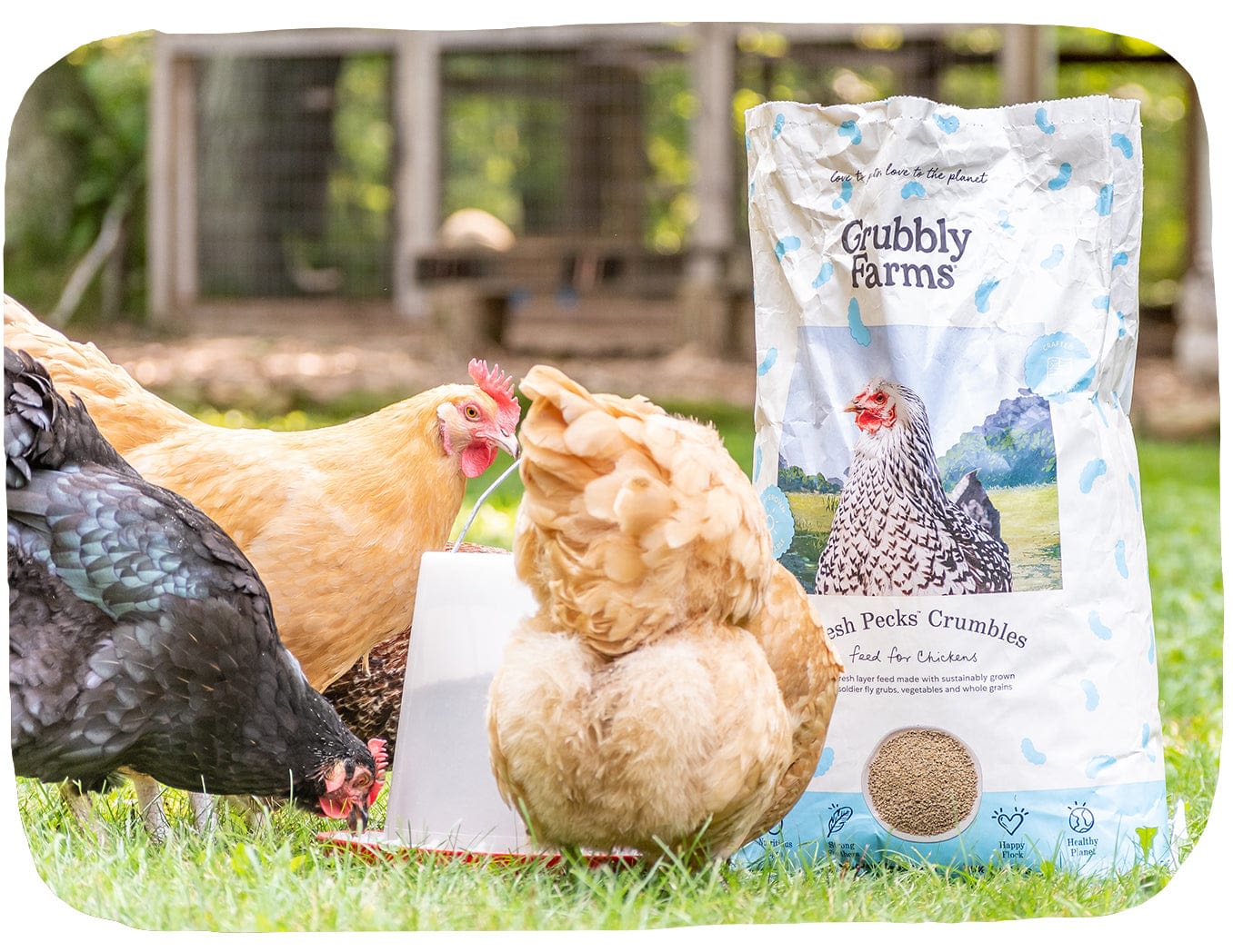 Fresh Pecks Crumbles |variants: 39563303026730, 39563303092266