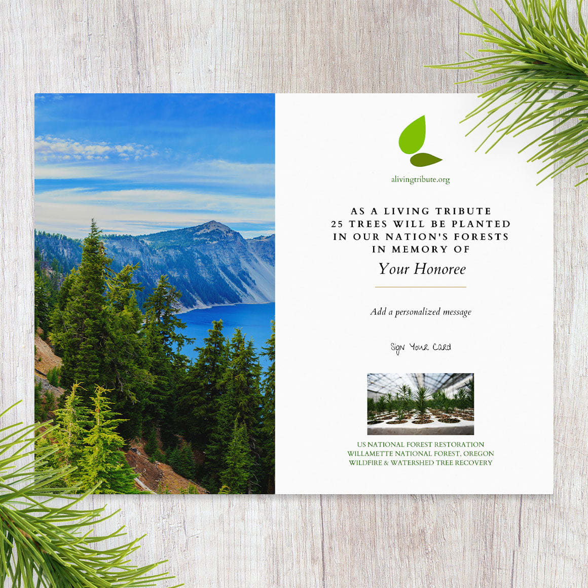 Plant a Tree for Someone in Oregon - Oregon Tribute Trees