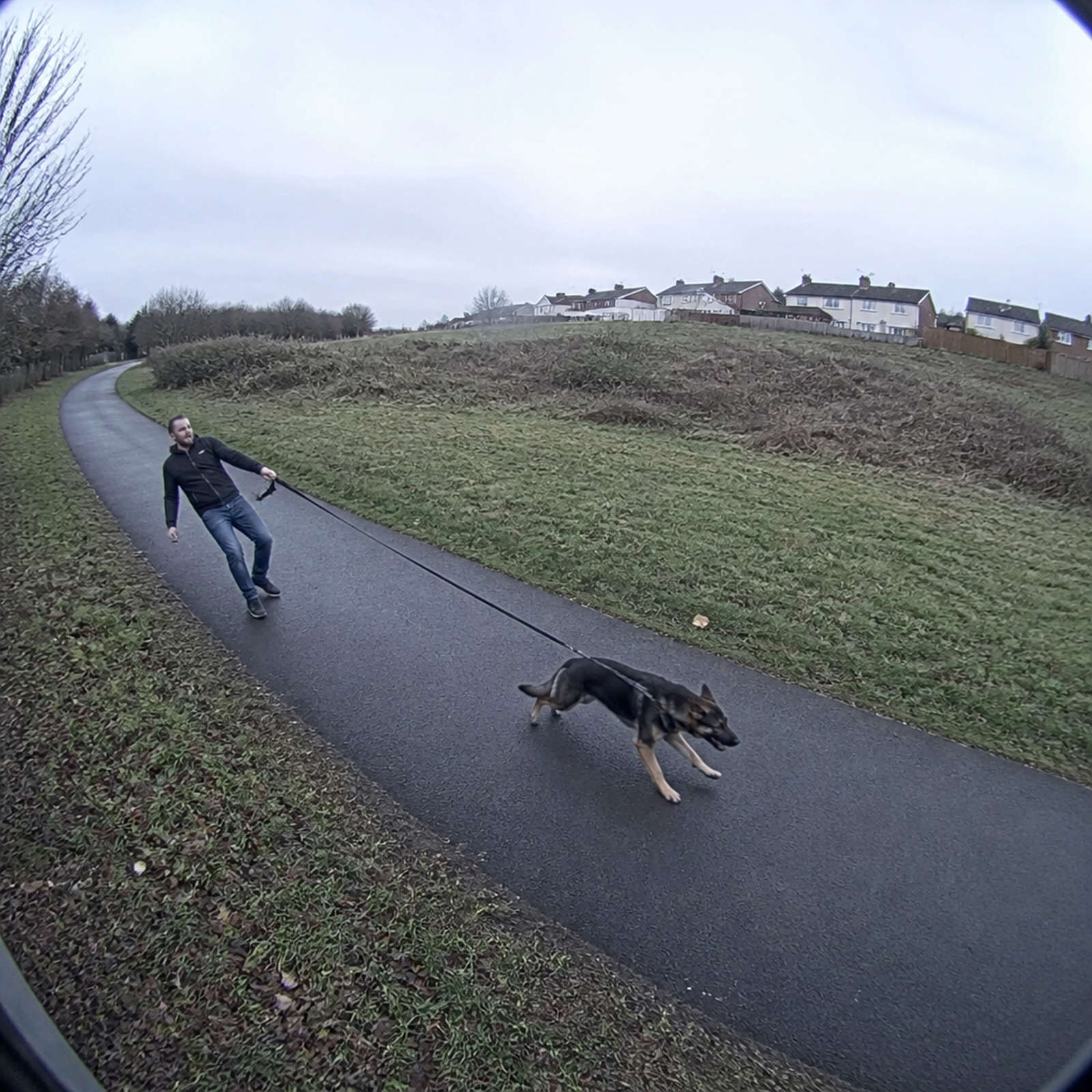 A dog dragging its owner down a footpath