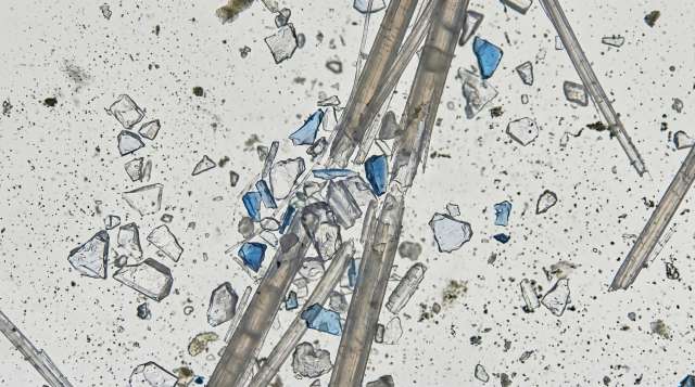 Microplastics shedding from kids plastic toothbrush