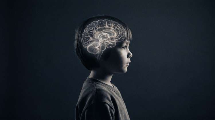 Children's developing brain, immune system, and hormonal pathways