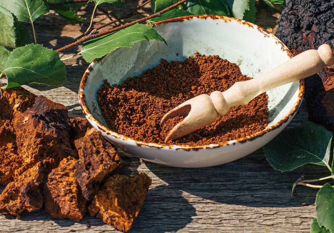 Chaga Mushroom