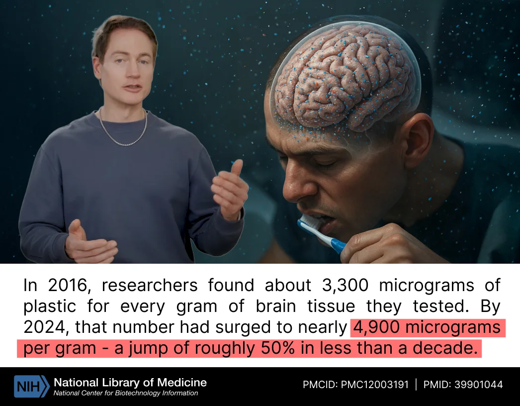 Brain microplastics research