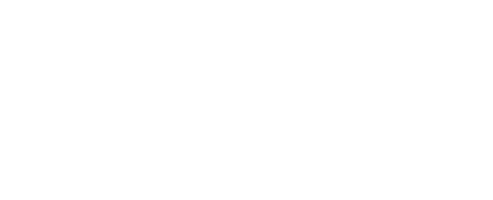 Zend Wellness