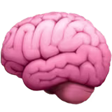 Long-term brain health benefits
