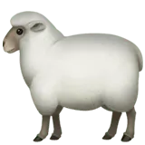 Cozy, Comfortable Materials