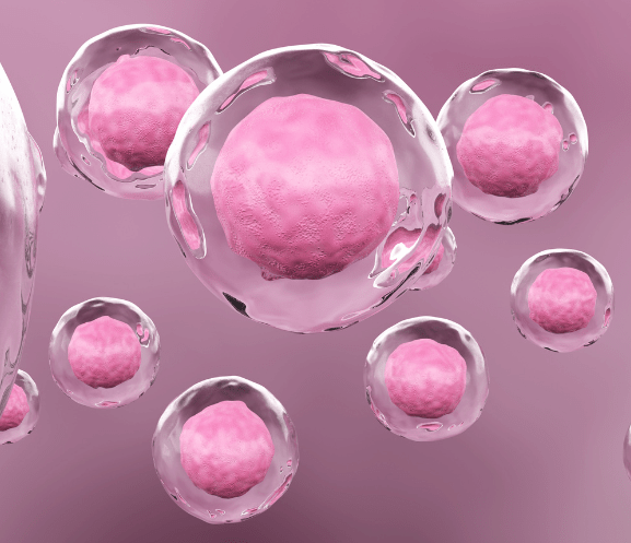 Floating pink stem cells