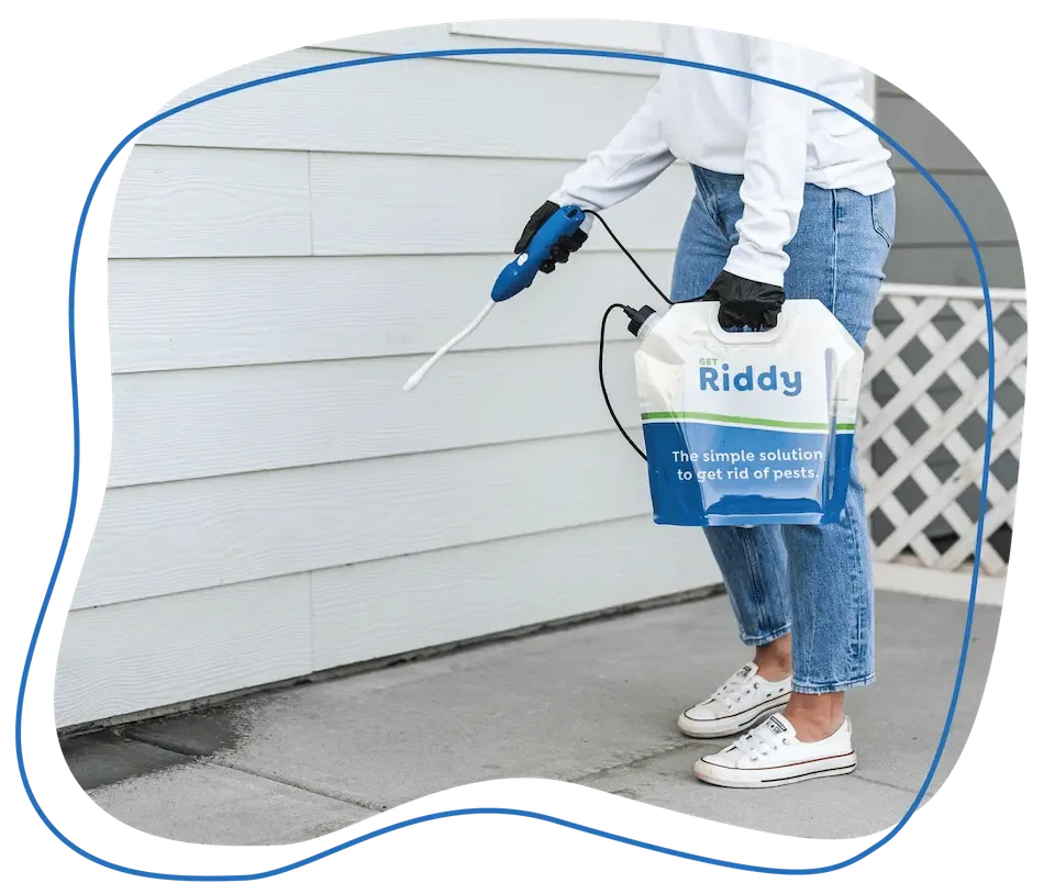 Perimeter pest control for your home with Riddy