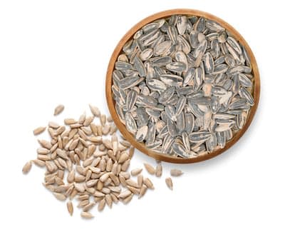 Sunflower Seeds
