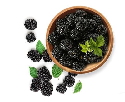 Blackberry

