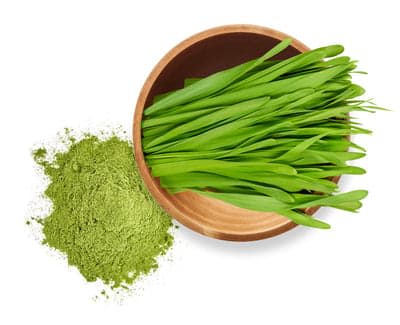 Barley Grass
